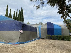 Fumigation Boise