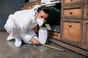 Pest Control Boise